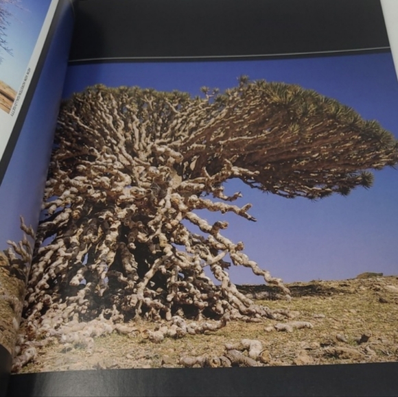 2010 LIFE BOOKS - WONDERS OF LIFE - THE AMAZING WORLD OF NATURE - Picture 10 of 16